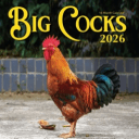 C0CK Compare Tournaments's icon