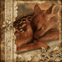 .　˚　❝　/deers　 ❞  　🦌　˖'s icon