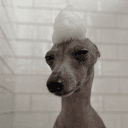 Havenage - Egirls - Weekly Giveaways - Ask To DM - Gaming's icon