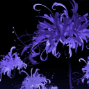 Uneverse | Social ⋆ Media ⋆ Growth ⋆ Engine's icon