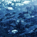 𝟑𝟑𝟑. soft haven ¡ ׅ 🐈⬛ ⑅ ∔'s icon