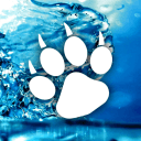 💦Patinhas (Furry BR)'s icon