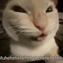 IDC.IDK's server's icon