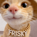 Frissk Chill Hangout • Chat • VC • Games's icon