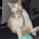 Streaming Growth's icon