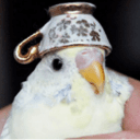 BirbCage's icon