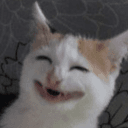 ! MEOWMOJISTAN Autonomous area (autonomy without admins)'s icon