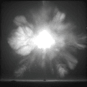 Porn City・🍑culos・🍒nudes・🍆porno・🍌hentai・🔥onlyfans's icon