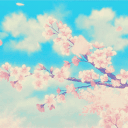 【Ｂｌｏｓｓｏｍｉｎｇ　Ｅｍｐｉｒｅ】's icon