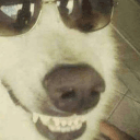 TwoFourSix #TheBossLoveCocks's icon