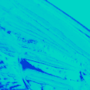 𝔏𝔞 ℭ𝔬𝔪𝔪𝔞𝔫𝔡𝔢𝔯𝔦𝔢 𝔡𝔲 𝔓𝔞𝔭𝔦𝔩𝔩𝔬𝔫's icon