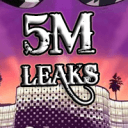 5M LEAKS's icon