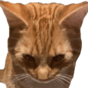 𝕊𝕚𝕞𝕓𝕒 ℕ𝕒𝕥𝕚𝕠𝕟's icon