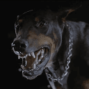 Passive Aggressive Site's icon