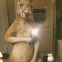 ANTI ANIME CLUB's icon