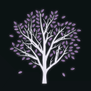 discord server logo