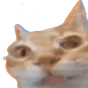discord server logo