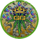 💠𝐆𝐚𝐧𝐣𝐚 𝐒𝐮𝐦𝐦𝐨𝐧𝐞𝐫𝐬💠's icon