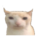 discord server logo