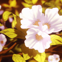 🌸・A Rainy Day's icon