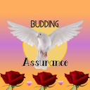 Budding Assurance's icon