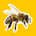 Honey-gain (not official server)'s icon