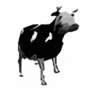 The Mooligans's icon