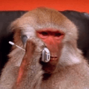 baboonfinancial's icon