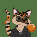 Cool Coati Club NFT's icon