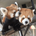 kaylee🤭's server's icon