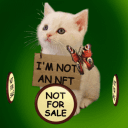 r/antiNFT's icon