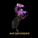 METAHORSE[OFFICIAL]'s icon