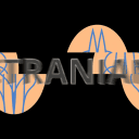 discord server logo