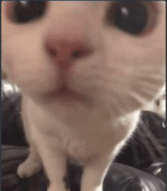 you got games on yo phone?