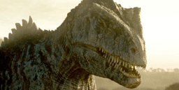 Giganotosaurus (Kat's pet) >:)
