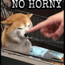 no horny