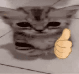 cat thumbs up | .gg/wife