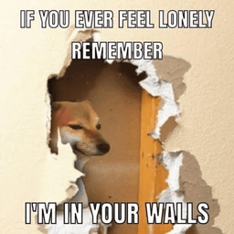 Like18+ I'm in your walls