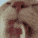 :Nef_lick: