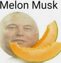 melao musk