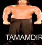 TAMAMDIR