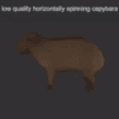 capybara