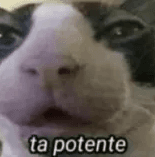 Ta potente