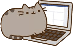 hacker_cat