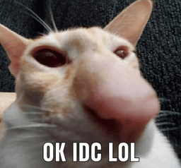 ok idc lol .gg/purrr