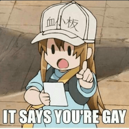 you gay