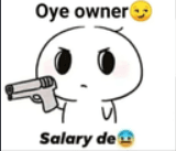 Owner salary de