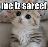 me iz sareef very very sareef