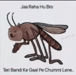 teri bandi ki chummi lene jara