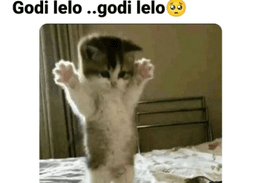 godi lelo